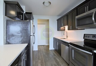 1100 S Michigan Ave in Chicago, IL - Building Photo - Building Photo