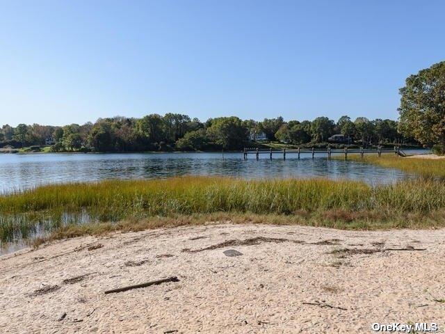 1 Pine Point in Lloyd Harbor, NY - Building Photo - Building Photo