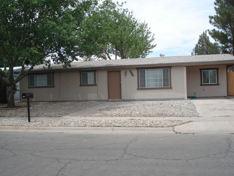 703 S Fruitland Dr in Roswell, NM - Building Photo