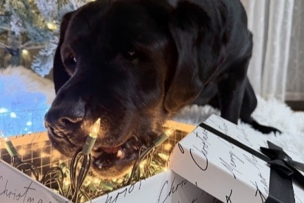 Autumn Chase Apartment Community