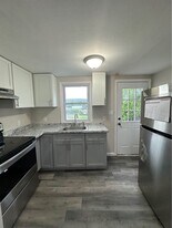 1514 Cedar Ave in Scranton, PA - Building Photo