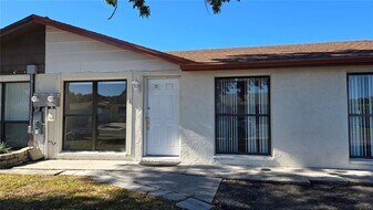 8810 Covered Bridge Ct in Tampa, FL - Building Photo