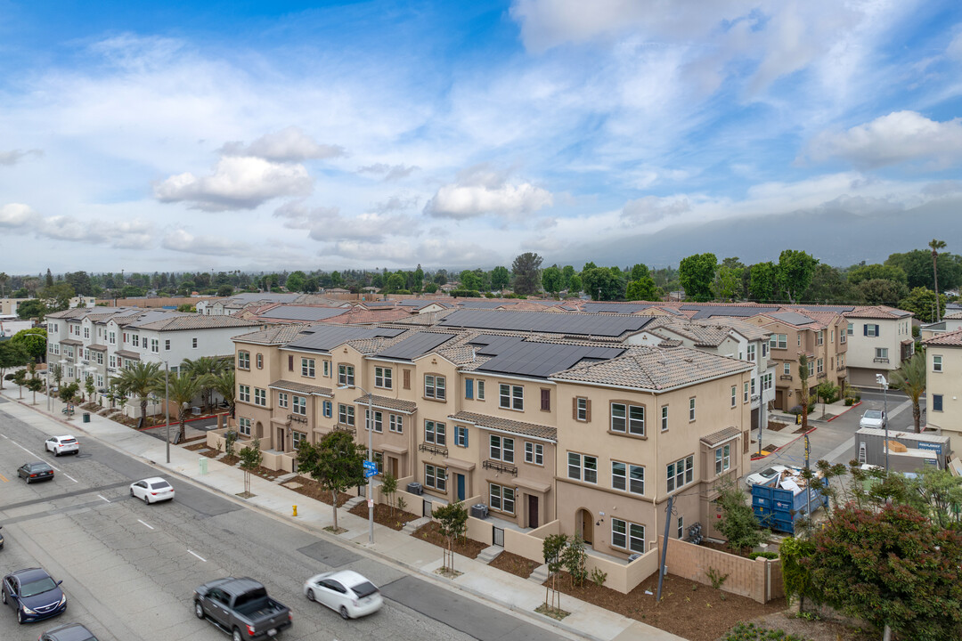 Lotus in Arcadia, CA - Building Photo