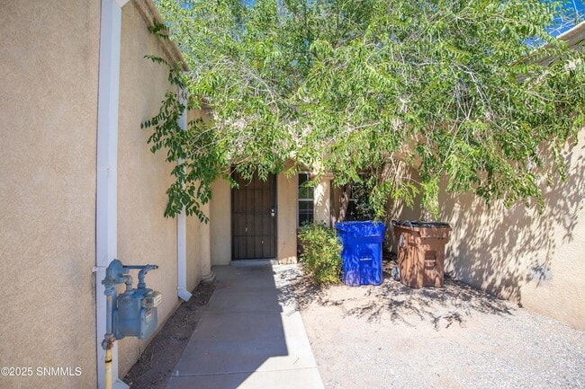 1302 S Triviz Dr in Las Cruces, NM - Building Photo - Building Photo