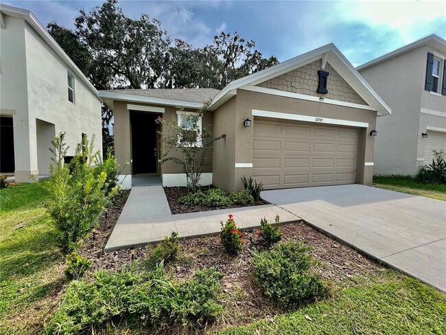 10959 Trailing Vine Dr in Tampa, FL - Building Photo - Building Photo