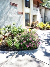 2802 Wood Hill Dr in Jacksonville, FL - Building Photo - Building Photo
