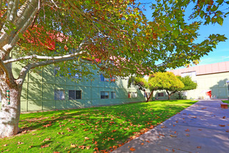 Western Winds (Senior Housing) in Tucson, AZ - Building Photo - Building Photo