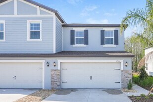17512 Radiant Shine Wy in Lutz, FL - Building Photo