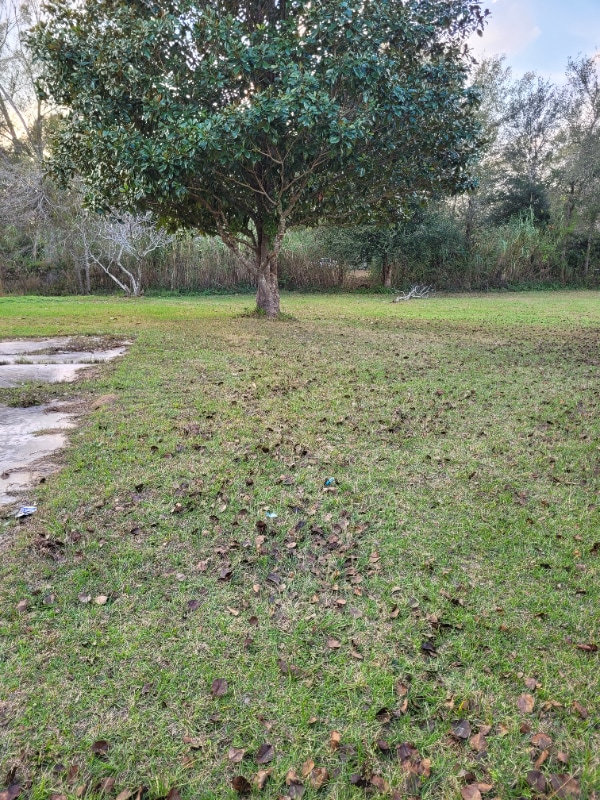 700 McNeil Steep Holow Rd