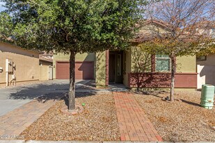 1684 W Pelican Dr in Chandler, AZ - Building Photo