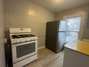 113 N Hamilton St in Ypsilanti, MI - Building Photo - Building Photo