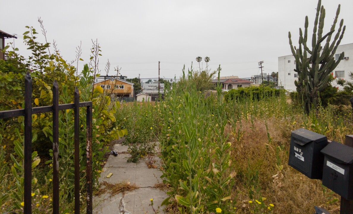 245 N Union Ave in Los Angeles, CA - Building Photo