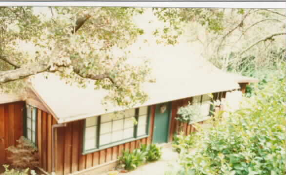 239 Greene St in Mill Valley, CA - Building Photo