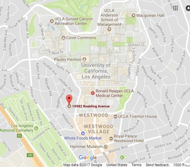 10982 Roebling Ave, Unit 509 in Los Angeles, CA - Building Photo - Building Photo