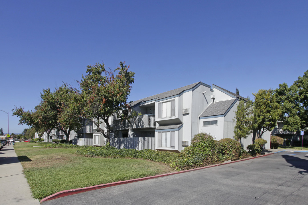 Pinewood Terrace Apartments in San Jose, CA - Building Photo