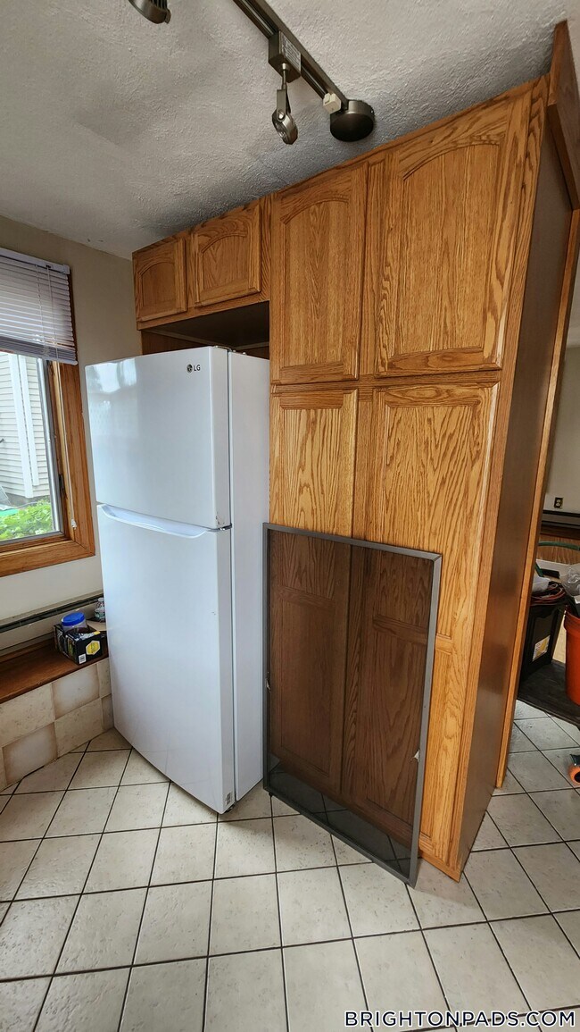54A Falkland St in Boston, MA - Building Photo - Building Photo
