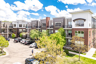 Village in the Park Lofts Apartments