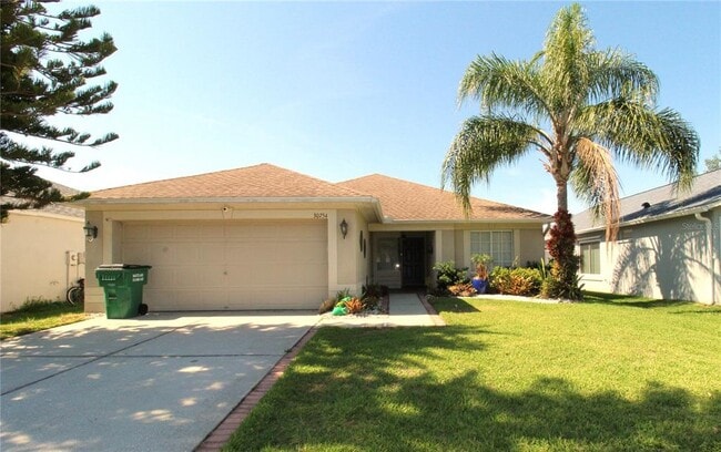 30754 Midtown Ct in Wesley Chapel, FL - Building Photo - Building Photo