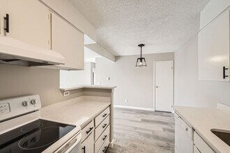 381 S Ames St, Unit Ames St in Lakewood, CO - Building Photo - Building Photo