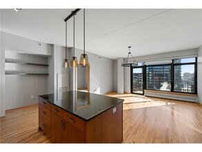 1120 S 2nd St in Minneapolis, MN - Building Photo - Building Photo