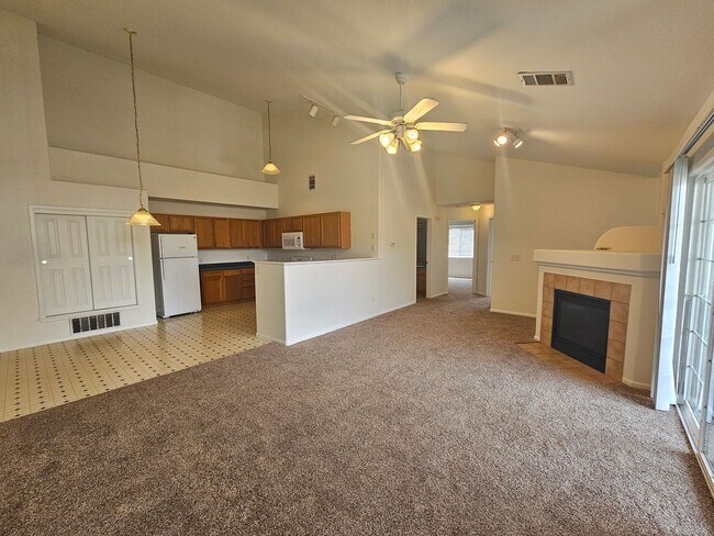 10381 Cook Way in Thornton, CO - Building Photo - Building Photo