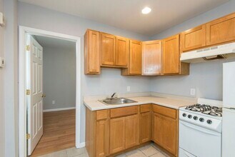 2501 Carpenter St in Philadelphia, PA - Building Photo - Building Photo
