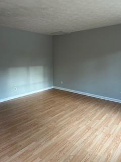 4227 Dejohns Way in Buford, GA - Building Photo