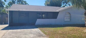 1405 Castleworks Ln in Tarpon Springs, FL - Building Photo