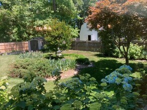 117 Runaway Ln in Yorktown, VA - Building Photo - Building Photo