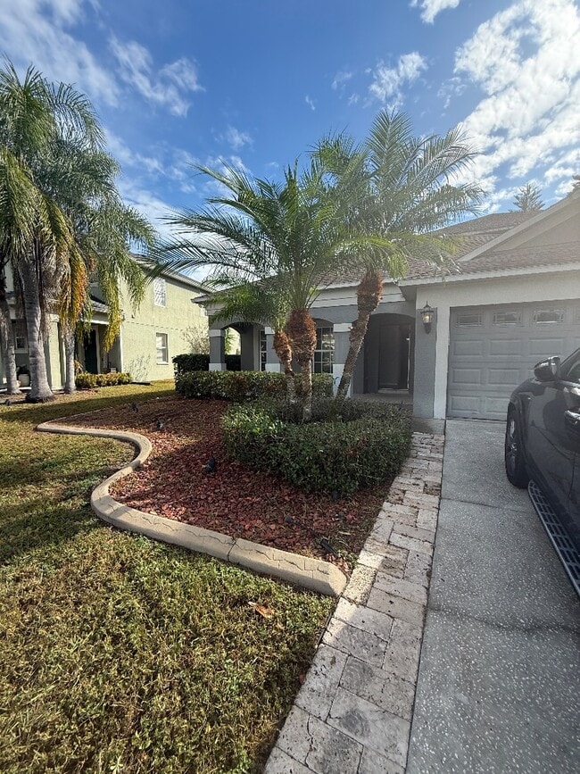 3004 Downan Point Dr in Land O Lakes, FL - Building Photo - Building Photo