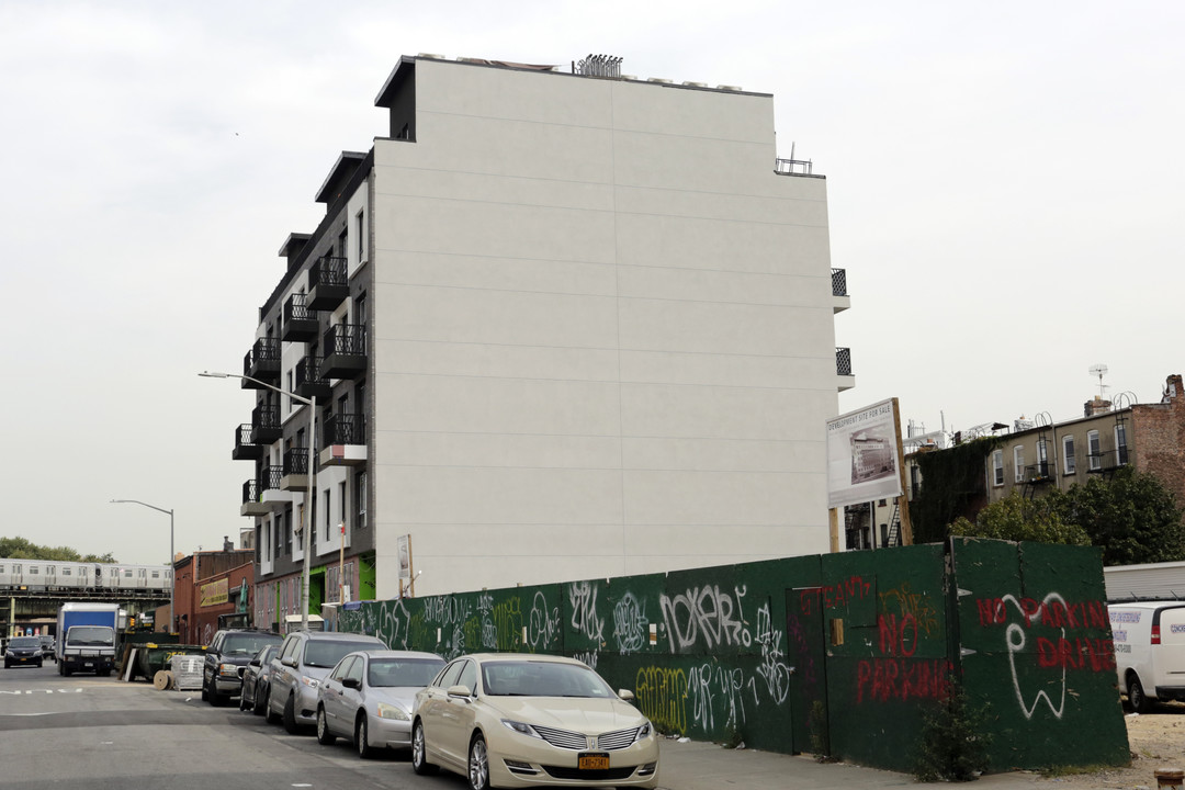 Lexington Flats in Brooklyn, NY - Foto de edificio