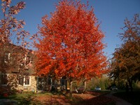 1803 Stonebridge Rd, Unit 101 in West Bend, WI - Foto de edificio - Building Photo