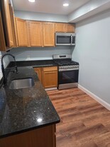 102 Mt Pleasant Ave in Boston, MA - Building Photo