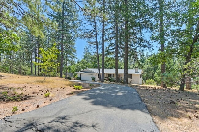 6544 Whitetail Ct in Foresthill, CA - Building Photo - Building Photo
