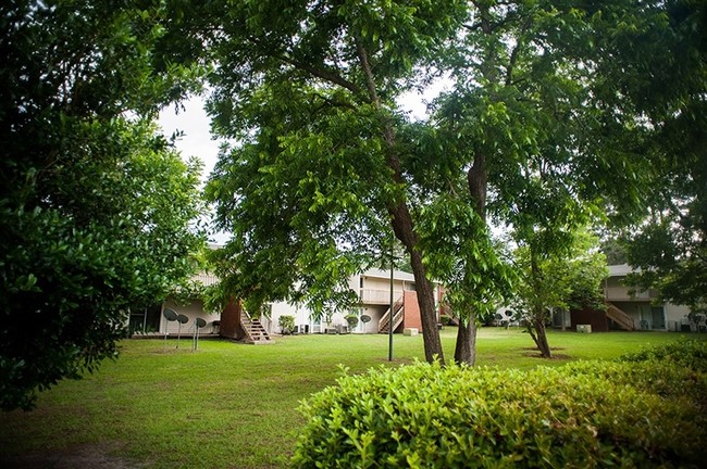 Castlewood Apartments in Valdosta, GA - Building Photo - Building Photo