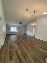 1659 E Dorchester Ct in Palm Harbor, FL - Foto de edificio - Building Photo