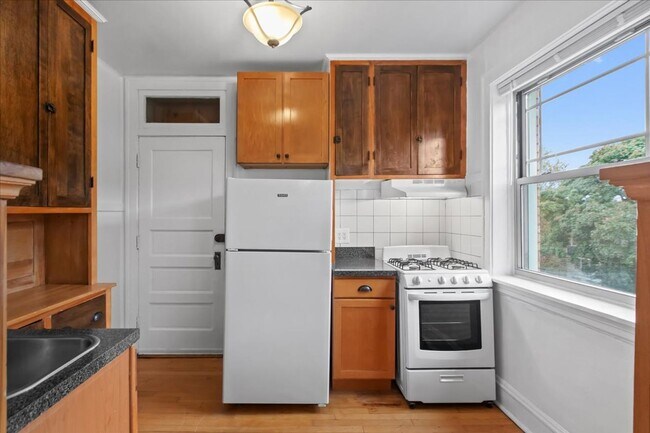 1733 W Thorndale Ave in Chicago, IL - Building Photo - Building Photo