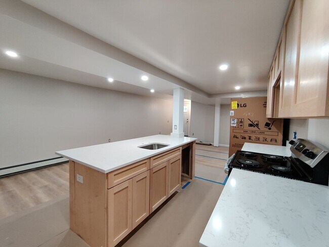 215 St Paul St in Brookline, MA - Building Photo - Building Photo