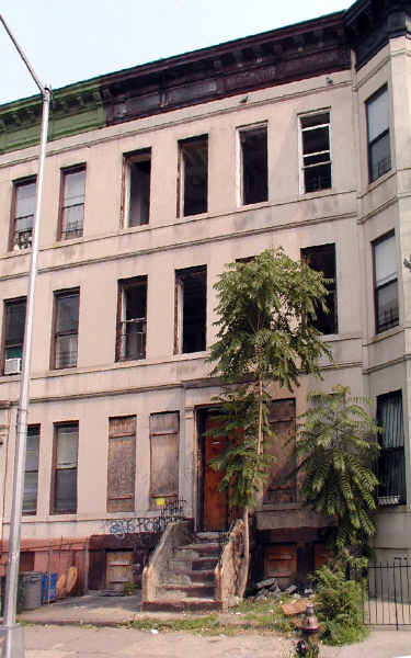 415 Chauncey St in Brooklyn, NY - Building Photo