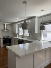 49 Albion St in Somerville, MA - Building Photo - Building Photo