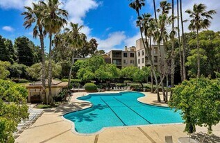 310 N Civic Dr in Walnut Creek, CA - Building Photo
