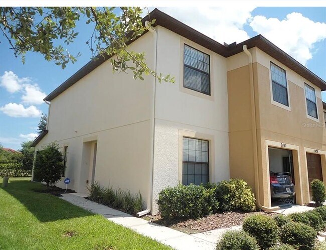 2431 Hibiscus Bay Ln in Brandon, FL - Building Photo - Building Photo