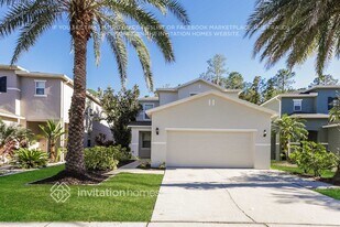 27036 Stillbrook Dr in Wesley Chapel, FL - Building Photo