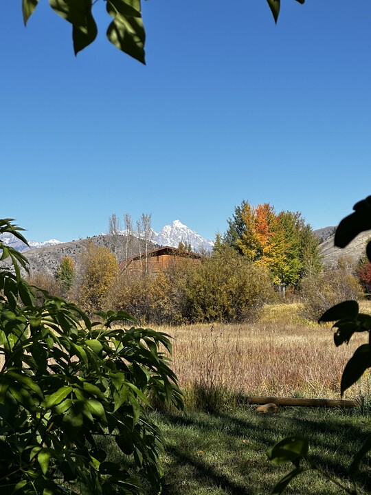 1525 W Pinto Dr in Jackson, WY - Building Photo