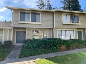 1311 Arbor Park Dr in San Jose, CA - Building Photo