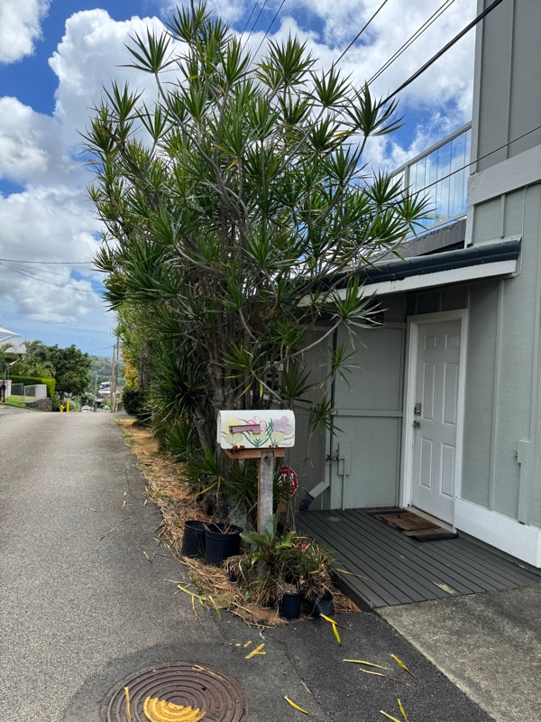 property at 1011 Alewa Dr
