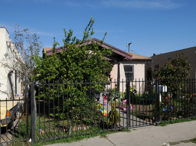 1131 E 67th St in Los Angeles, CA - Foto de edificio - Building Photo