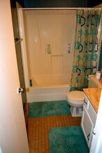 217 Sheetz St in West Lafayette, IN - Building Photo - Building Photo