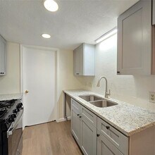 1305 Dobie Dr in Austin, TX - Building Photo - Building Photo