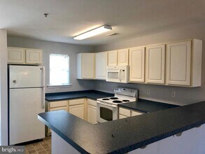 1205 Caitlins Way in Millsboro, DE - Building Photo - Building Photo